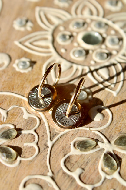 DISC HOOPS