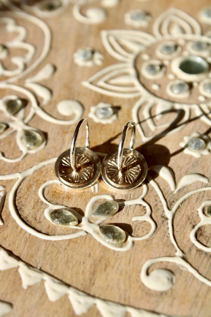 DISC HOOPS