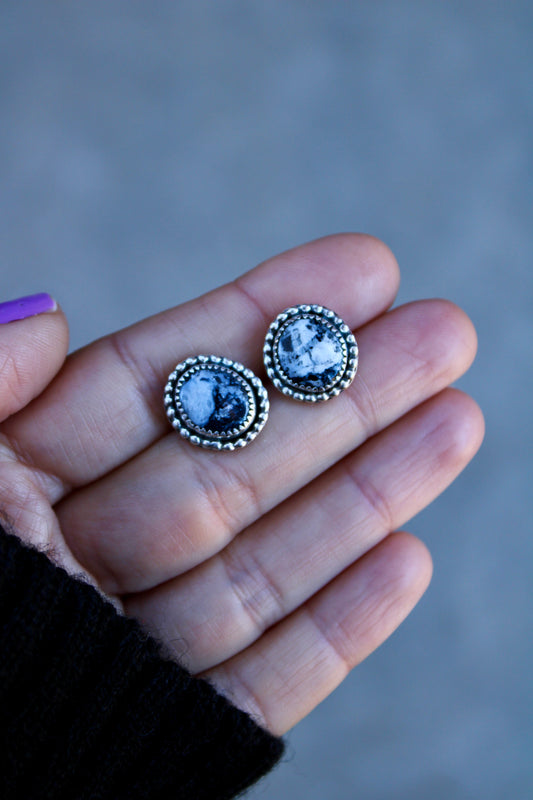 White Buffalo Studs